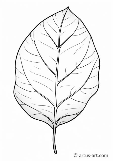 Página para colorir de queda de folha de caqui